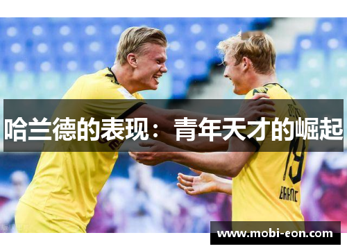 哈兰德的表现：青年天才的崛起