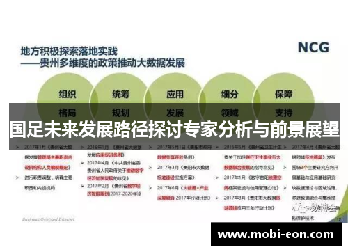 国足未来发展路径探讨专家分析与前景展望