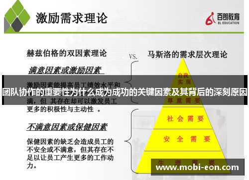 团队协作的重要性为什么成为成功的关键因素及其背后的深刻原因