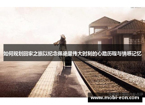 如何规划回家之旅以纪念佩德里伟大时刻的心路历程与情感记忆