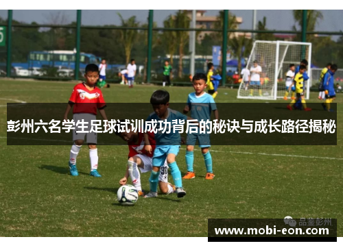 彭州六名学生足球试训成功背后的秘诀与成长路径揭秘