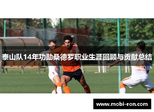 泰山队14年功勋桑德罗职业生涯回顾与贡献总结