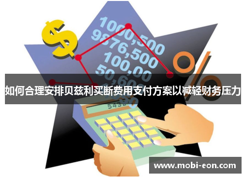 如何合理安排贝兹利买断费用支付方案以减轻财务压力