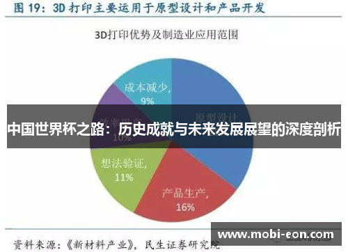 中国世界杯之路：历史成就与未来发展展望的深度剖析