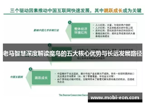 老马智慧深度解读魔鸟的五大核心优势与长远发展路径