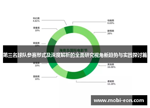 第三名球队参赛形式及深度解析的全面研究视角新趋势与实践探讨篇
