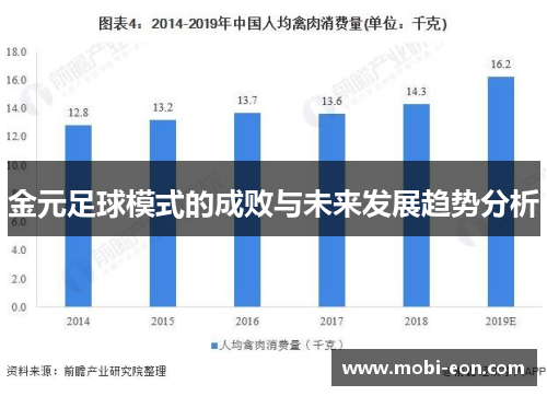金元足球模式的成败与未来发展趋势分析
