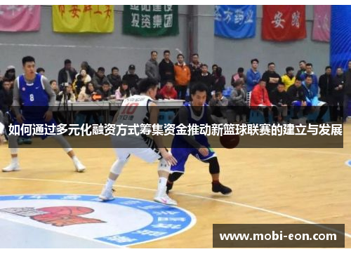 如何通过多元化融资方式筹集资金推动新篮球联赛的建立与发展